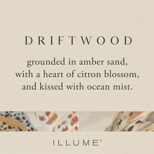 Driftwood Aromatic Diffuser