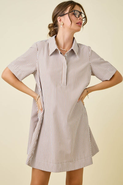 PAIGE STRIPED SHIRT  DRESS